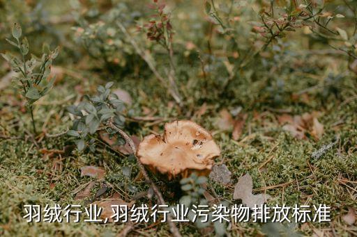羽绒行业,羽绒行业污染物排放标准
