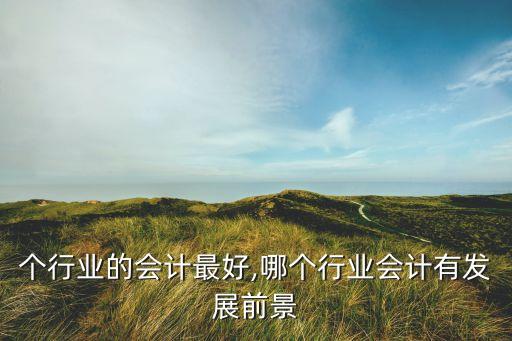 做哪个行业的会计最好,哪个行业会计有发展前景