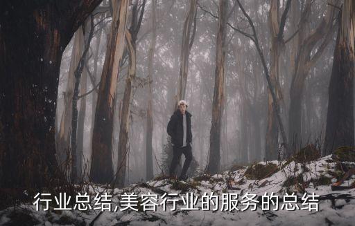 行业总结,美容行业的服务的总结