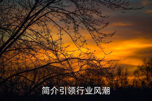 企业简介引领行业风潮