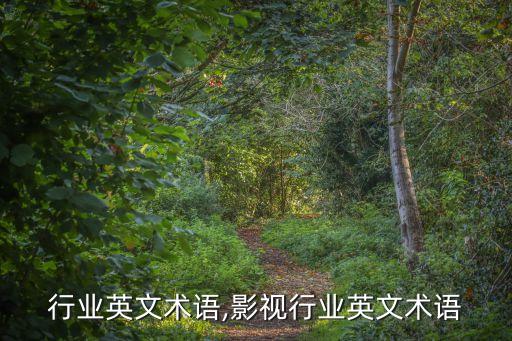 行业英文术语,影视行业英文术语