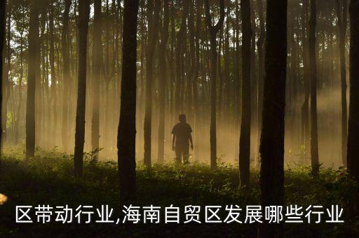 区带动行业,海南自贸区发展哪些行业