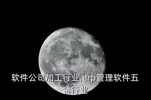 软件公司加工行业,erp管理软件五金行业