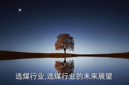 选煤行业,选煤行业的未来展望