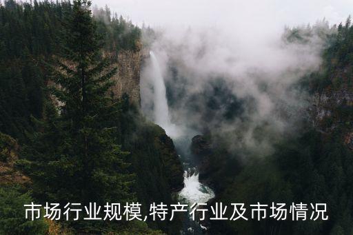 市场行业规模,特产行业及市场情况