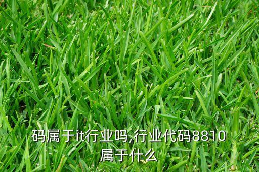 码属于it行业吗,行业代码8810属于什么