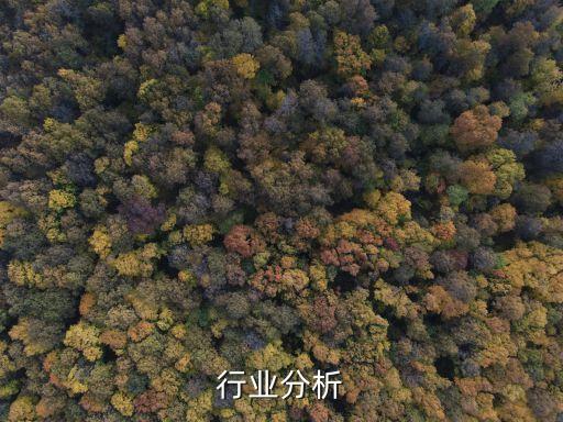 剪纸行业分析