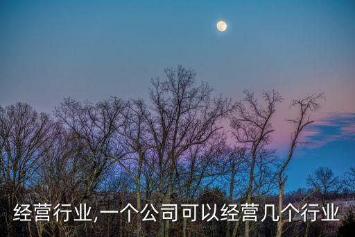 经营行业,一个公司可以经营几个行业
