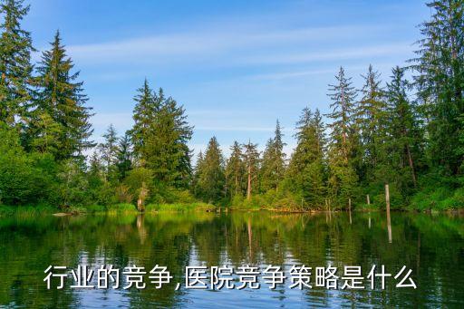 行业的竞争,医院竞争策略是什么