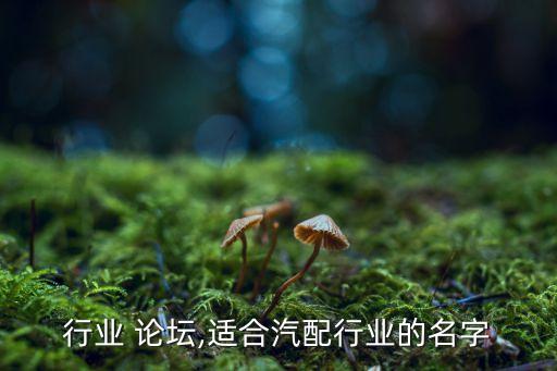 汽配行业 论坛,适合汽配行业的名字