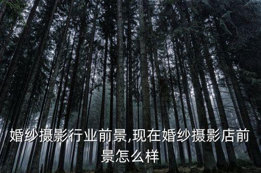 天津婚纱摄影行业前景,现在婚纱摄影店前景怎么样