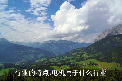 行业的特点,电机属于什么行业