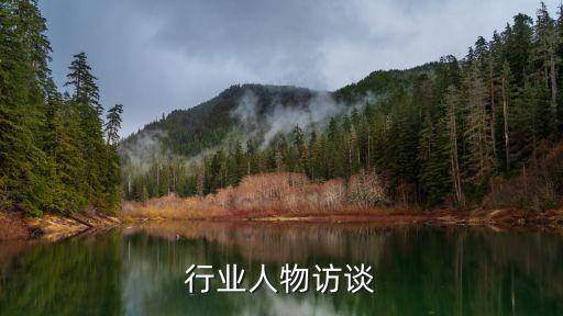 行业人物访谈