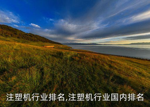 注塑机行业排名,注塑机行业国内排名