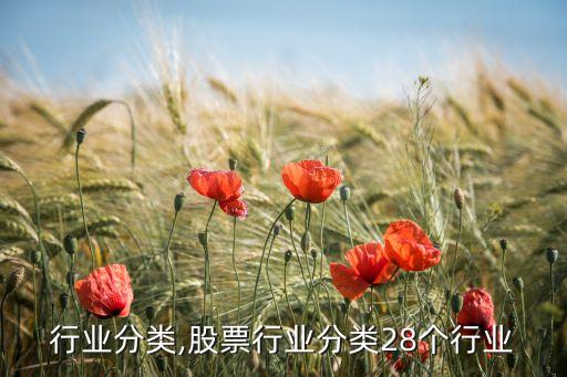 所有行业分类,股票行业分类28个行业
