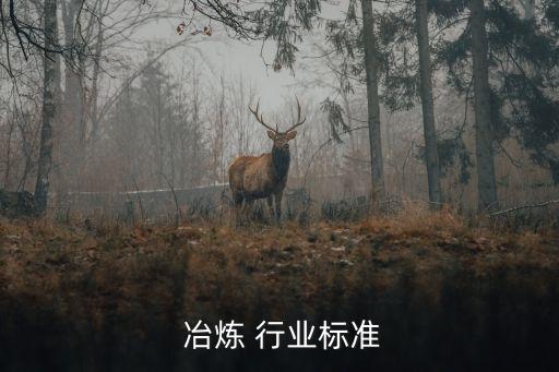  冶炼 行业标准