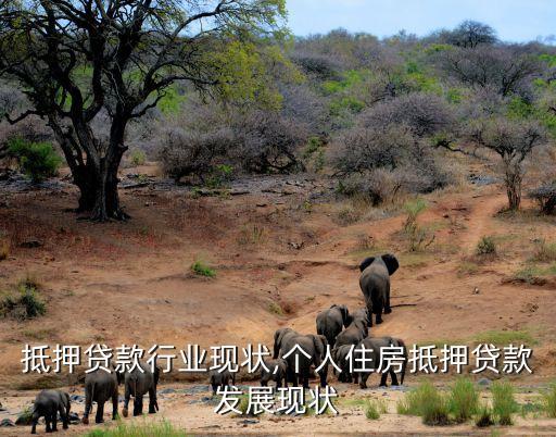 车辆抵押贷款行业现状,个人住房抵押贷款发展现状