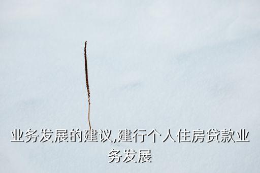 建行业务发展的建议,建行个人住房贷款业务发展