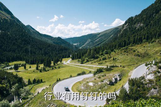 行业有用钉钉的吗