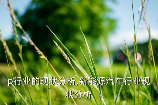 p行业的现状分析,新能源汽车行业现状分析