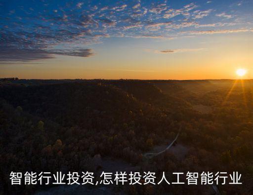 人工智能行业投资,怎样投资人工智能行业