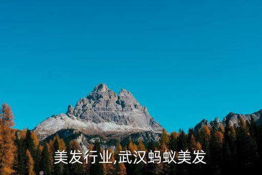 美发行业,武汉蚂蚁美发