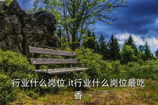 行业什么岗位,it行业什么岗位最吃香
