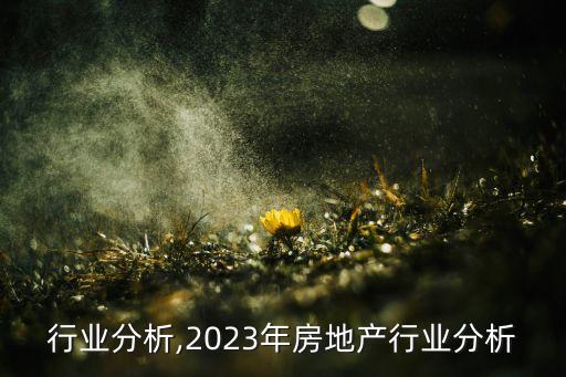 行业分析,2023年房地产行业分析