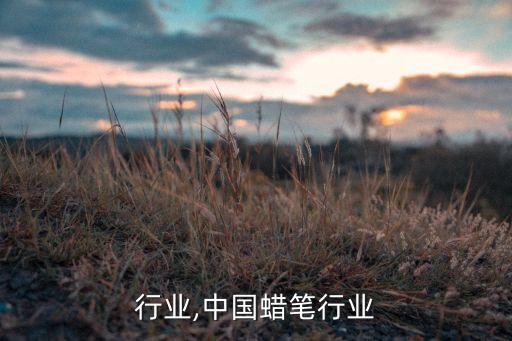 蜡笔行业,中国蜡笔行业