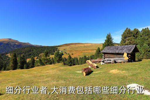 细分行业者,大消费包括哪些细分行业