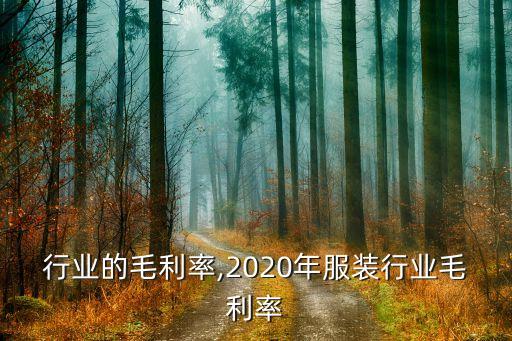 行业的毛利率,2020年服装行业毛利率