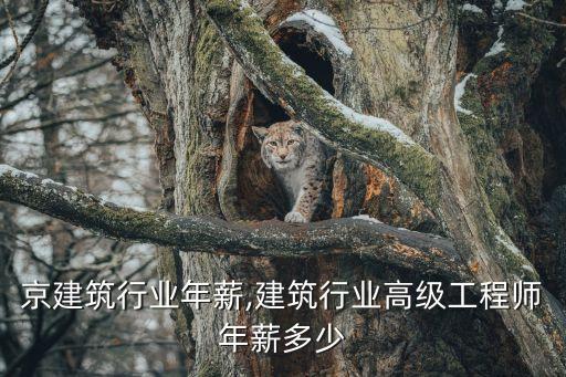 在北京建筑行业年薪,建筑行业高级工程师年薪多少