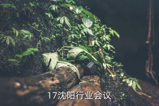 17沈阳行业会议