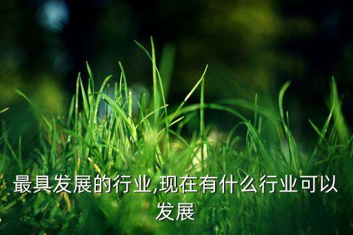 现在最具发展的行业,现在有什么行业可以发展