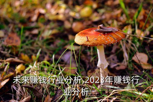 未来赚钱行业分析,2023年赚钱行业分析