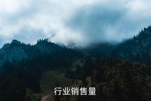 行业销售量