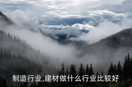 制造行业,建材做什么行业比较好