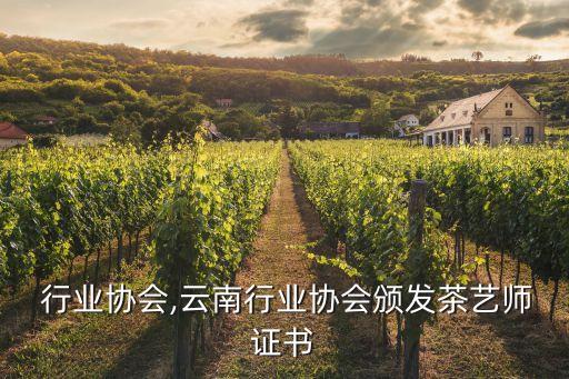  行业协会,云南行业协会颁发茶艺师证书