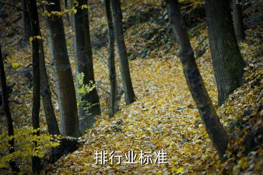 排行业标准