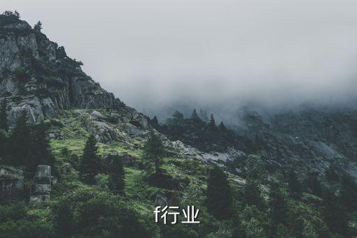 f行业