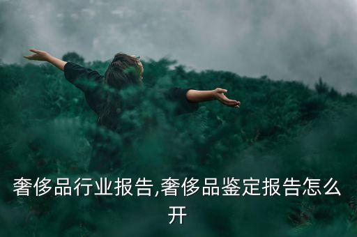 奢侈品行业报告,奢侈品鉴定报告怎么开