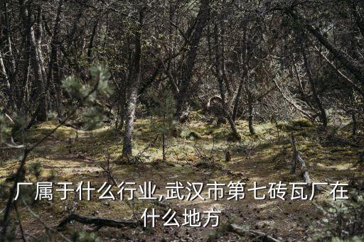 砖瓦厂属于什么行业,武汉市第七砖瓦厂在什么地方