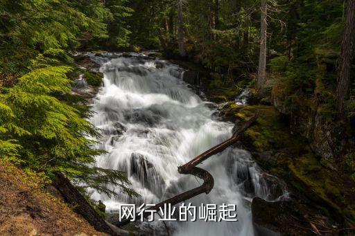 网行业的崛起