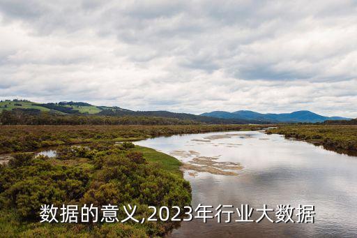 数据的意义,2023年行业大数据