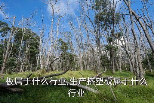 挤塑板属于什么行业,生产挤塑板属于什么行业