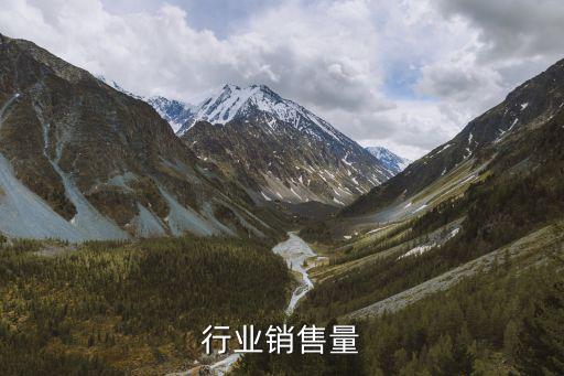 行业销售量