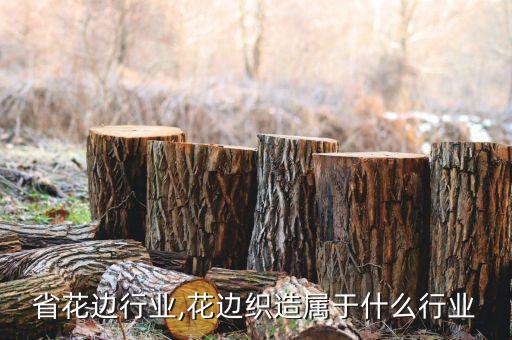 省花边行业,花边织造属于什么行业