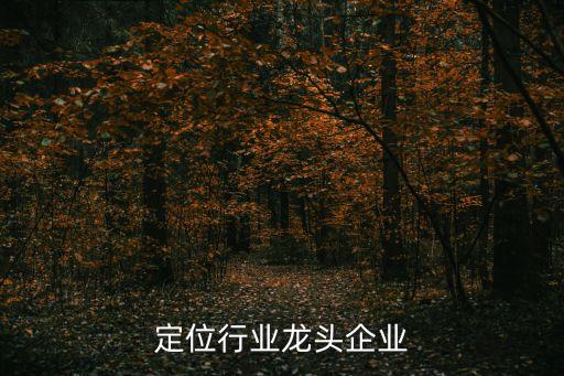 定位行业龙头企业