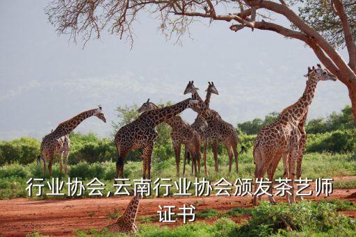  行业协会,云南行业协会颁发茶艺师证书