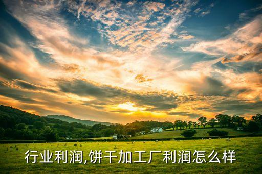 饼干行业利润,饼干加工厂利润怎么样